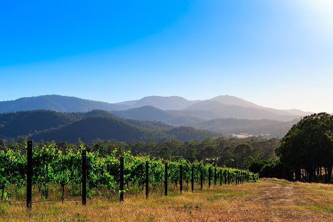 Victoria Small-Group Sparkling Wine Tasting - Additional Information About the Experience