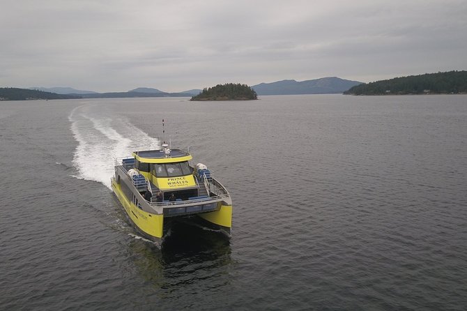 Victoria Sunset Whale-Watching Catamaran Sailing Tour - Common Questions