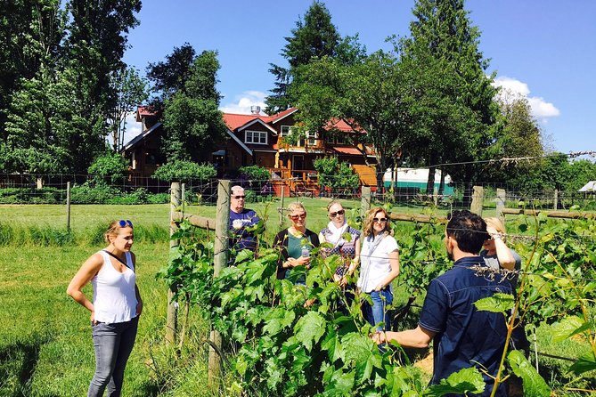 Victoria Wine Tour With Wine Tastings and Charcuterie - Behind-The-Scenes Tour of a Local Winery