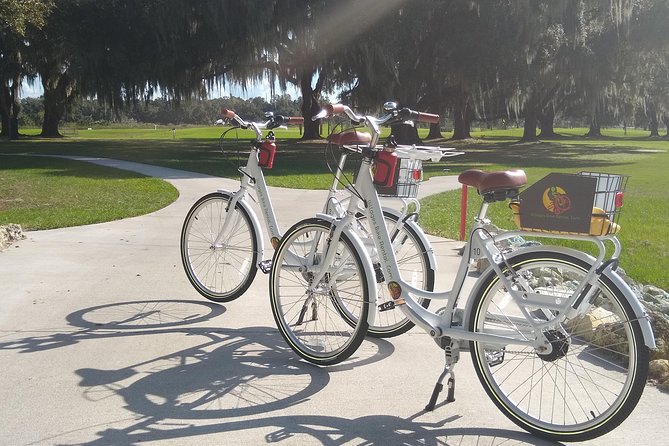 Village Bicycle Rental Free Delivery in The Villages Florida - Overview of the Experience