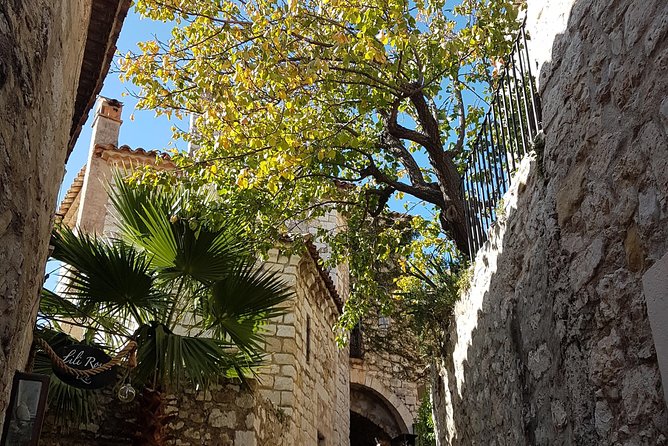 Villefranche Shore Excursion: 6 Hrs Private Tour of Nice, Eze and Monaco - Stops at Villefranche-sur-Mer and Eze