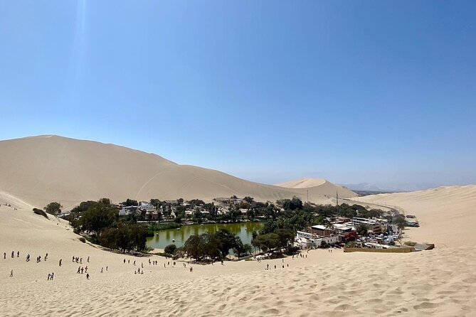 Vineyard & Buggy Tour in Huacachina / 1 Day Tour From Lima - Visit to the Tacama Vineyard