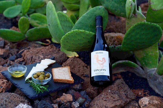 Vineyard Tour With Wine and Cheese Tasting in Fuerteventura - Meeting and Pickup