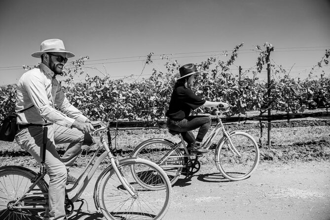 Vineyards, Wine Tasting and Pairing in San Miguel - Directions to the Vineyards