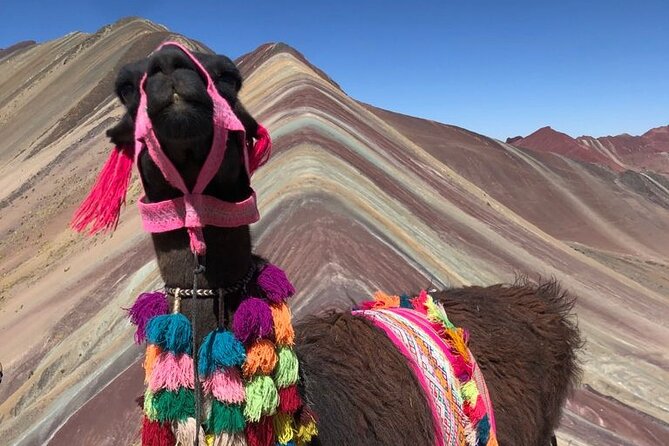 Vinicunca Rainbow Mountain Tour Including Breakfast & Lunch From Cusco - Inclusions