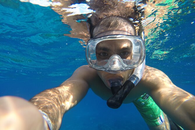 VIP Cenotes Private Tour (half-day) - The Sum Up