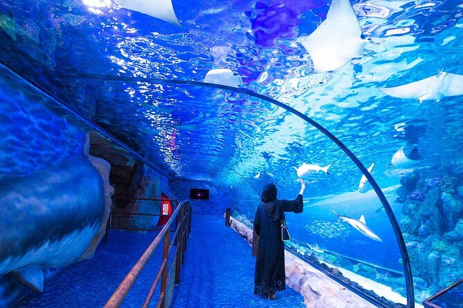 VIP Experience Dubai Aquarium & Underwater Zoo-As per Selection - Overview of the Experience