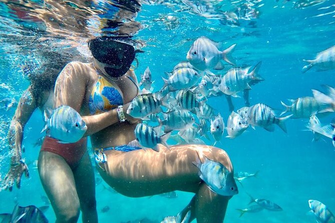 VIP Fascinating Boat Ride & Snorkeling at Sosua Bay - Traveler Reviews