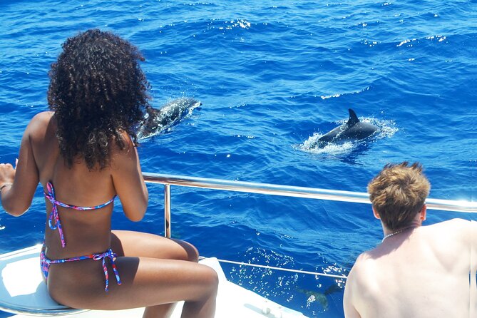 VipDolphins Luxury Whale Watching - Tour Overview