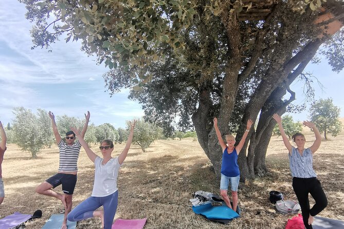 Visit a Lavender Fields Farm and Enjoy a Yoga Class in Provence - Benefits of Practicing Yoga in a Lavender Field