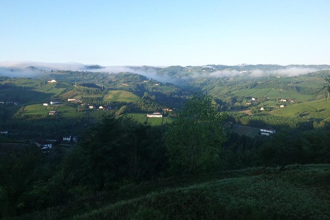 Visit Among Vineyards and Wine Cellar With Wine Tasting in Nizza Monferrato - Alcoholic Beverages