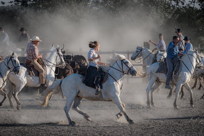 Visit and Discovery in the Heart of the Camargue - Meeting and Pickup Details