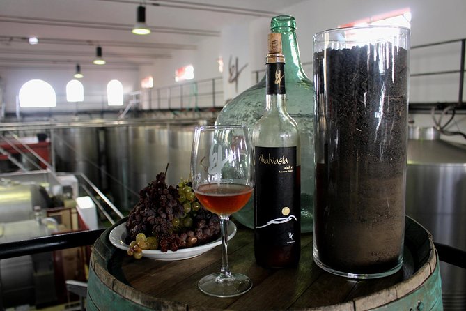 Visit Bodegas Teneguía Winery in La Palma With Wine Tasting - Wine Tasting Experience