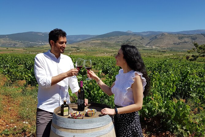 Visit to Eco Winery Cortijo El Cura and Wine Tasting in English - Sample Menu and Food Pairings