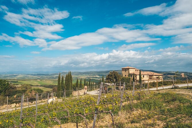Visit to the Cellar With Wine & Food Tasting Over the Val Dorcia - Food Pairing Recommendations