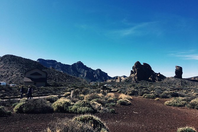 VOLCANO TEIDE NATIONAL PARK Half-Day in a Small Group by Bus - Tour Duration and Group Size