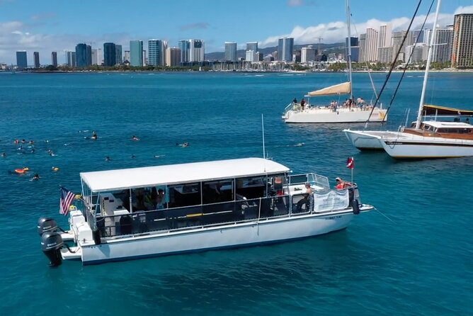 Waikiki Green Sea Turtle Snorkeling Tour - Boat Excursion - Cancellation Policy