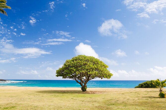 Waimea Canyon Private Tour With Local Guide - Traveler Tips
