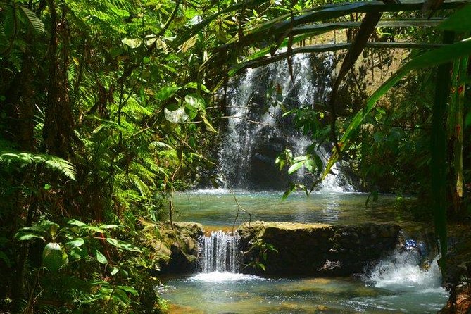 Waterfalls and Nature Tour - Activities and Highlights
