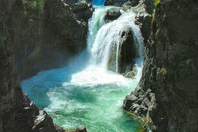 Waterfalls, Cathedral Grove Rainforest, and Coombs Adventure With Hiking - Highlights of the Day Trip