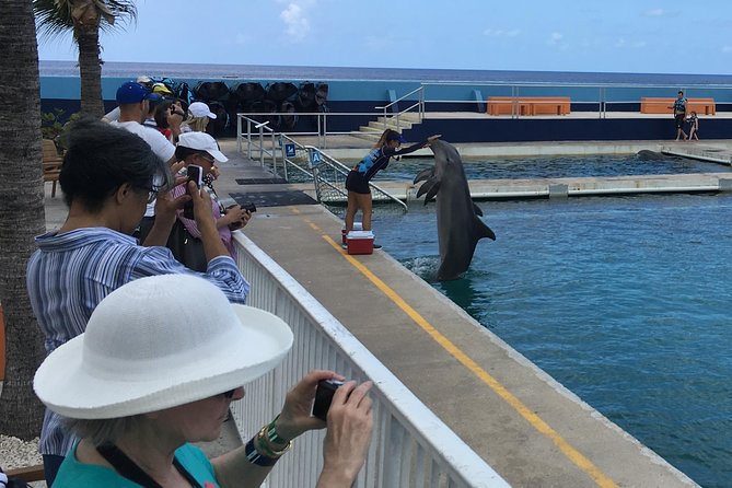 West Bay Sightseeing Tour Plus Seven Mile Beach Visit - Traveler Reviews and Feedback