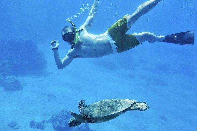 West Maui Half Day Snorkel From Ka'Anapali Beach - Positive Experiences and Recommendations