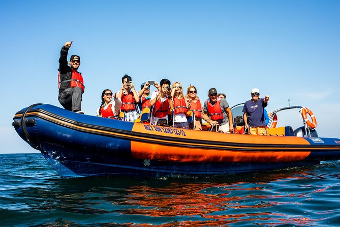 Whale Watching - Whale Watching Destinations
