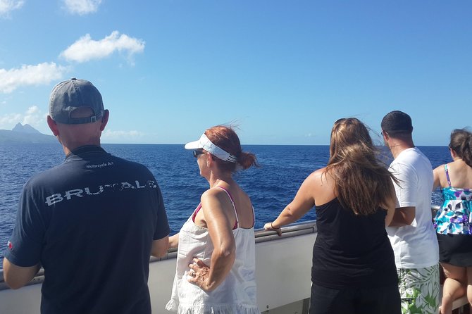 Whale Watching and Dolphin Spotting Cruise - Lack of Communication and Entertainment