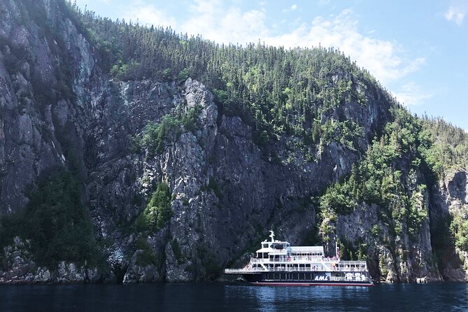 Whale Watching Cruise From Tadoussac or Baie-Ste-Catherine - Positive Experiences