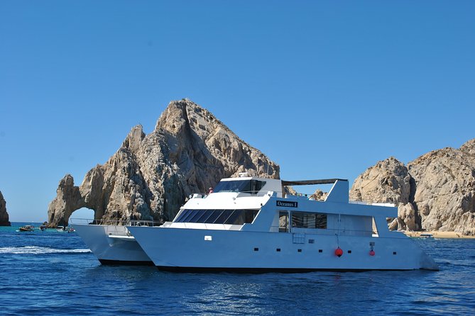 Whale Watching Cruise in Los Cabos - Traveler Photos and Reviews