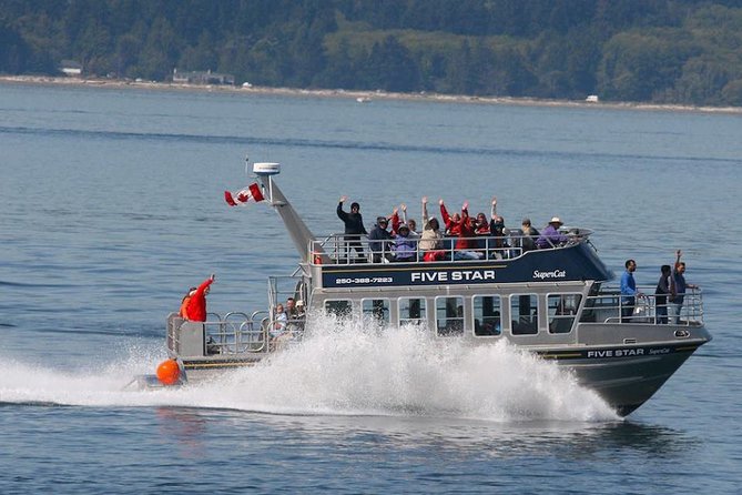 Whale-Watching Cruise With Expert Naturalists - Expert Naturalists Onboard