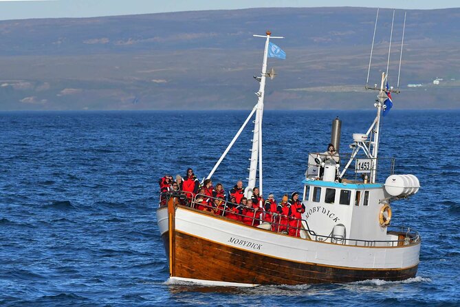 Whale Watching in Húsavík With Friends of Moby Dick - Meeting and Pickup