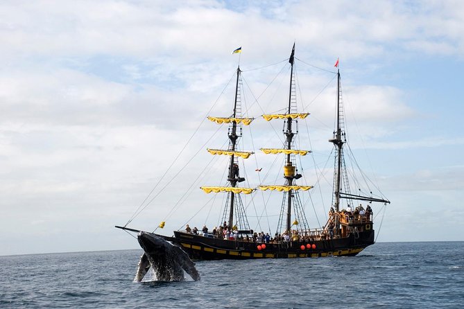 Whale-Watching Pirate Ship Cruise in Los Cabos - Additional Information