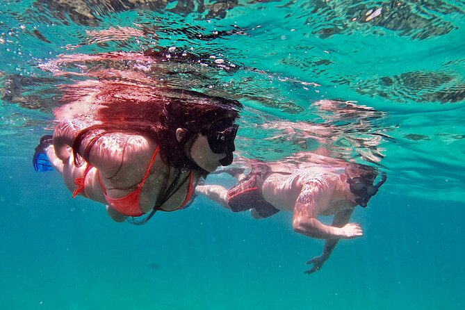 Whale Watching & Snorkeling Combo in Los Cabos With Photos Included - Traveler Photos