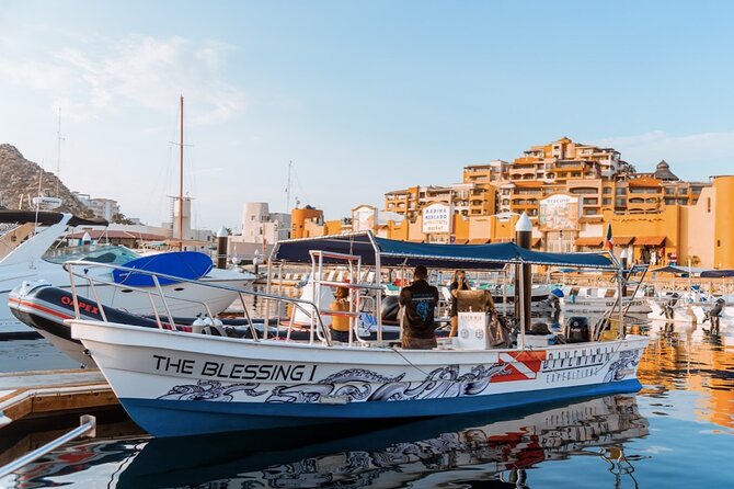 Whale Watching Tour in Cabo San Lucas - Meeting and Pickup Information