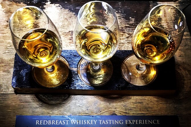 Whiskey Tasting Experience in Kilkenny - Whiskey Tasting Experience: Flavors and Aromas