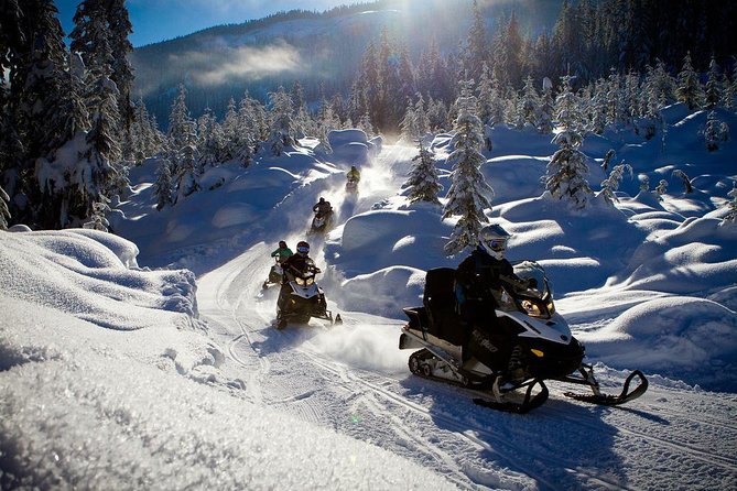 Whistler Cedar Forest Snowmobile Tour for Intermediate Riders - Tour Details and Options