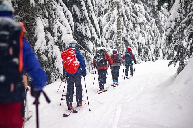 Whistler Intro to Backcountry Skiing and Splitboarding - Skiing and Snowboarding Skills Improvement