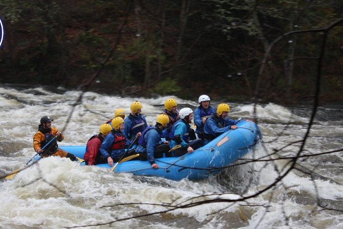 White Water Rafting on the River Tay From Aberfeldy - Ideal for All: Beginners and Experienced Rafters Welcome