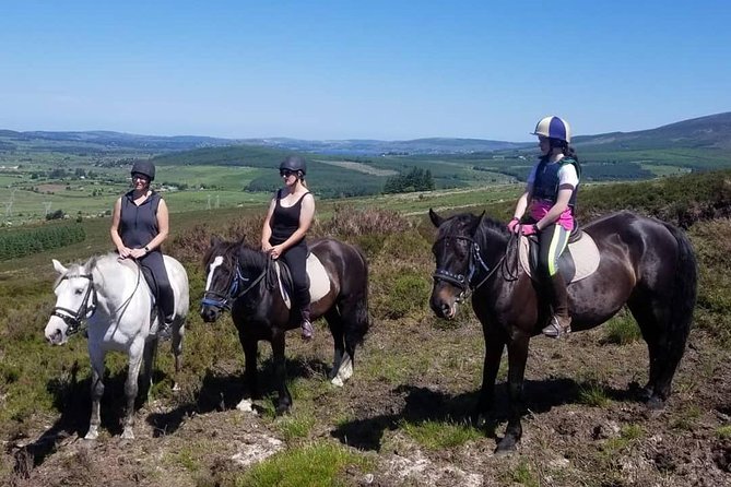 Wicklow Monutains Horse Trekking - Directions and Weather Conditions