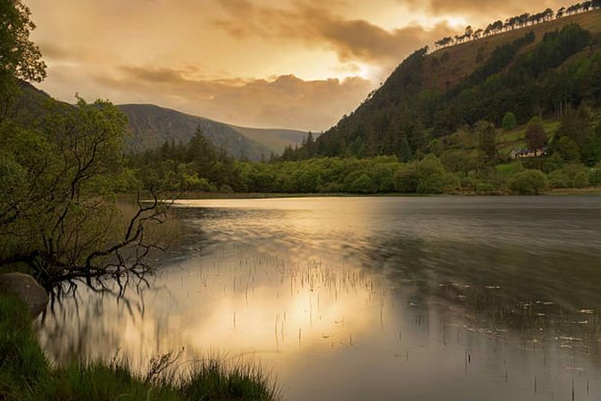 Wicklow Mountains & Glendalough Luxury Private Day Tour - Inclusions and Services