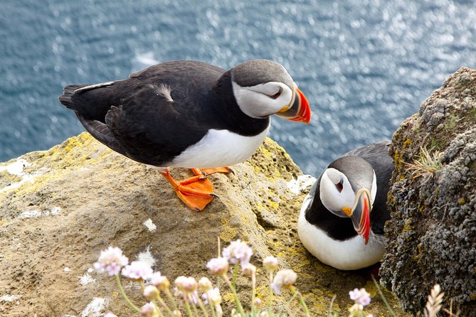Wild Atlantic Way Full-Day Tour From Galway - Highlights and Must-See Attractions