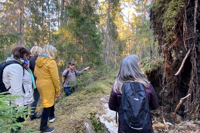 Wildlife Hiking in Stockholm With Animal Spotting - 2 Days - Inclusions and Meals