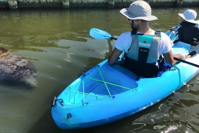 Wildlife Refuge Manatee, Dolphin & Mangrove Kayak or Paddleboarding Tour! - Meeting and Pickup Information