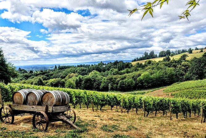 Willamette Valley Wine Tour - Full Day Tour - Cancellation Policy and Customer Reviews