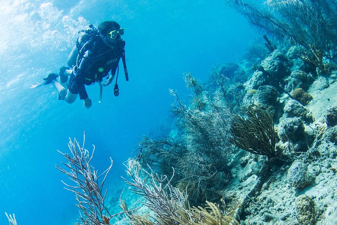 Willemstad Private Introductory Dive  - Curacao - Additional Information