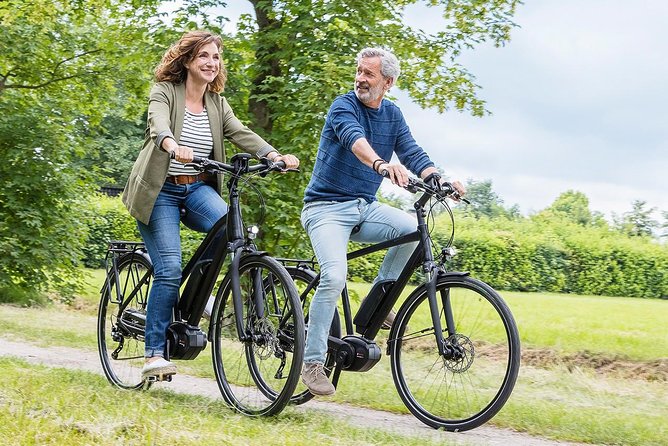Wine Country E-Bike Guided Tour - W/O Lunch - Good To Know