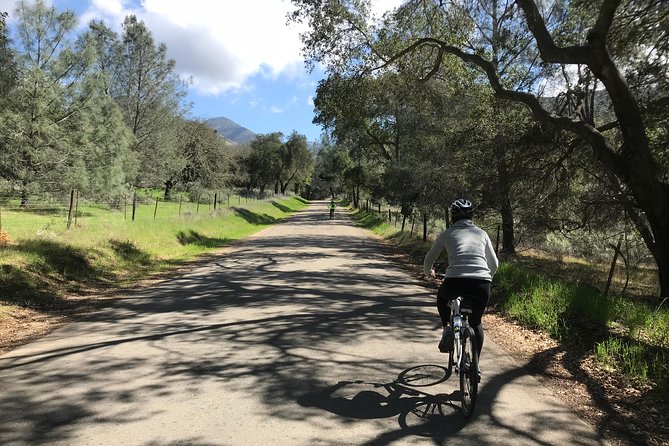 Wine Country Half-Day Bike Tour From Solvang - W/O Lunch - Traveler Photos and Reviews of the Bike Tour