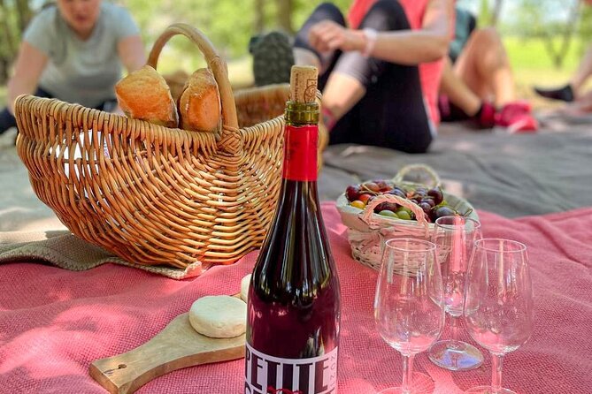 Wine Excursion by Electric Bike Guided by GPS Vallon Pont Darc - Vineyard Visits
