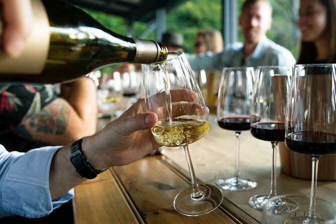 Wine Hopping in Hamburg With Wine Tasting - Inclusions